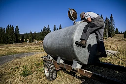 L'agriculteur Eric Pecoud verse l'eau pour ses vaches, d'une citerne dans un reservoir lors d'un episode de secheresse a la Vallee de Joux dans le Jura vaudois le jeudi 4 aout 2022 sur l'alpage des Trois Chalets, pres du Col du Marchairuz. Le canton de Vaud vient au secours des alpages du Jura qui souffrent de la secheresse. Une station de pompage provisoire est desormais exploitee au bord du lac de Joux, a laquelle s'ajoutent trois points de ravitaillement de 40 m3 chacun a L'Abbaye, a la Givrine et au col du Marchairuz.