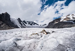 Flugzeug-Wrack auf dem Aletschgletscher Flugzeug-Wrack auf dem Aletschgletscher