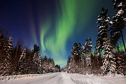 25.11.2023, Oestersund, Sweden, (SWE):
Event Feature: Aurora borealis over Jaemtland - IBU World Cup Biathlon, training, Oestersund (SWE). www.nordicfocus.com. © Manzoni/NordicFocus. Every downloaded picture is fee-liable.