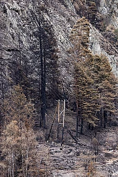 Strommasten und Stromleitungen vom Kraftwerk Electra Massa von Alpiq welche moeglicherweise den Waldbrand entfacht haben und verbrannte Baeume vom Waldbrand oberhalb der Massaschlucht bei Bitsch, aufgenommen aus Naters, Wallis, am Freitag, 29. Juli 2023. Strommasten und Stromleitungen vom Kraftwerk Electra Massa von Alpiq welche moeglicherweise den Waldbrand entfacht haben und verbrannte Baeume vom Waldbrand oberhalb der Massaschlucht bei Bitsch, aufgenommen aus Naters, Wallis, am Freitag, 29. Juli 2023.