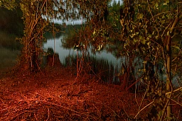 Tatort am Rheinufer, wo ein junger Mann mit einem massiven Stück Holz erschlagen wurde. Tatort am Rheinufer, wo ein junger Mann mit einem massiven Stück Holz erschlagen wurde.