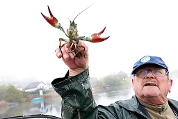 Le Pont, 7 octobre 2022. Pêche à l'écrevisse avec Christian Lirgg. © Michel Duperrex