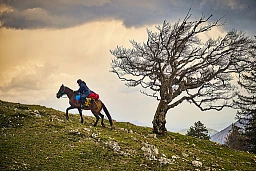 Volle Kraft voraus. Beim Chasseral legen Pferd und Reiterin alle Energie in die Bewegung. Volle Kraft voraus. Beim Chasseral legen Pferd und Reiterin alle Energie in die Bewegung.