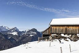 Auf auf dem Mullern in Mollis befindet sich den Bauerhof von Richard Bamert.