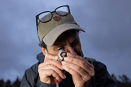 Ariel Bergamini nimmt ein Moos unter die Lupe Ariel Bergamini nimmt ein Moos unter die Lupe