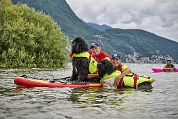 LEONARDO CARONNA, 58, UND ELENA DONÁ, 42, MIT DEN NEUFUNDLÄNDERN NAIRA UND ENEA, BEIDE 6 LEONARDO CARONNA, 58, UND ELENA DONÁ, 42, MIT DEN NEUFUNDLÄNDERN NAIRA UND ENEA, BEIDE 6