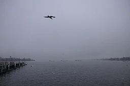 Der etwas neblige Blick zu den Schiffen mit dem Feuerwerk.