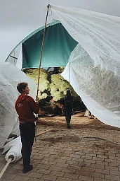 Ein hauchzartes Vlies, mit Bambusstäben über Krone und Äste gestülpt, soll den edlen Passagier vor Transportschäden schützen. Ein hauchzartes Vlies, mit Bambusstäben über Krone und Äste gestülpt, soll den edlen Passagier vor Transportschäden schützen.